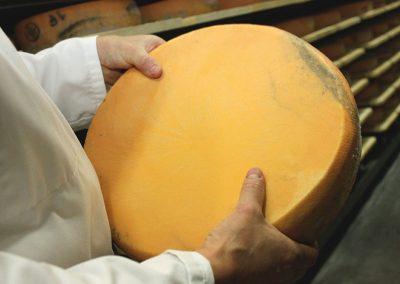 Vérification des Morbiers à la fromagerie Monnin à Chantrans dans le Doubs